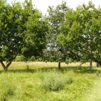 P1080020